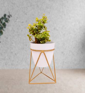 Voidrop Iron Planter Pot Drainage hole with Metal Stand 1