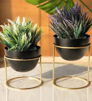 Voidrop Set of 2 Metal Plant Pot with Stand | Flower Pot with Gold Metal Stand for Herbs Orchids Cacti Succulents 1