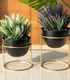Voidrop Set of 2 Metal Plant Pot with Stand | Flower Pot with Gold Metal Stand for Herbs Orchids Cacti Succulents