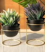 Voidrop Set of 2 Metal Plant Pot with Stand | Flower Pot with Gold Metal Stand for Herbs Orchids Cacti Succulents