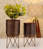 Voidrop Elle Antique Bronze Metal Planter with Stand |Pack of 2  Planters for Living Room