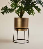 Voidrop Metal Black & Gold Floor Planters Flower Pot With Stand Outdoor & Indoor
