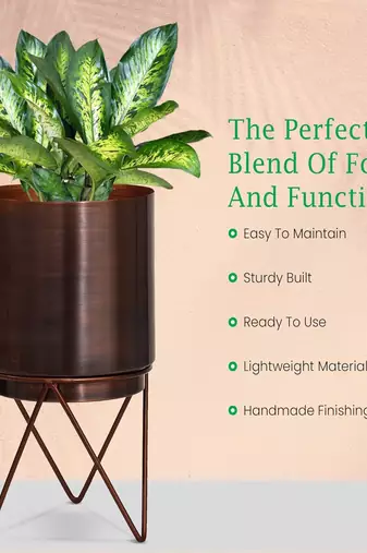 Voidrop Elle Antique Bronze Metal Planter with Stand |Pack of 2  Planters for Living Room