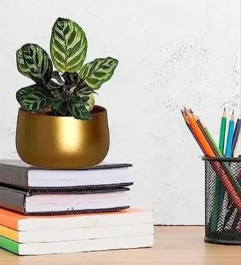 Voidrop Metal Plant Pots with Drainage Hole 2