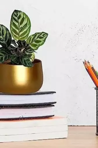 Voidrop Metal Plant Pots with Drainage Hole