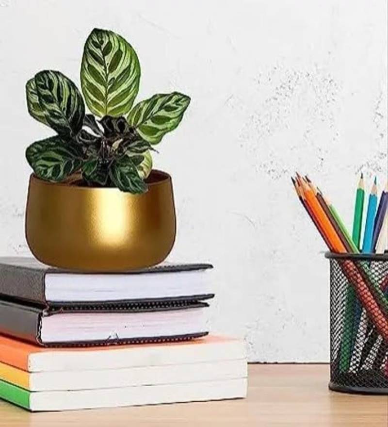 Voidrop Metal Plant Pots with Drainage Hole