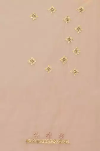Beige embroidered net saree with blouse
