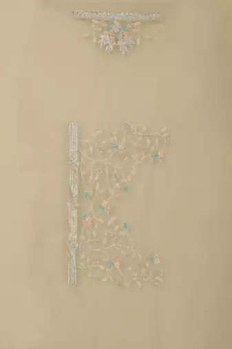 Beige embroidered net saree with blouse