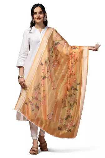 Digital Ethnic Motif Print Orgenza Khadi Silk Crochet Work Regular Dupatta Wear on Kurti For Women and Girls
