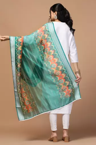 Digital Ethnic Motif Print Orgenza Khadi Silk Crochet Work Regular Dupatta Wear on Kurti For Women and Girls