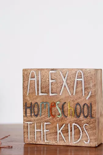 Alexa homeschool the kids