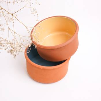 Color fusion terracotta bowl set 1