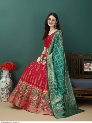 Red Woven Jacquard Lehenga Choli 2