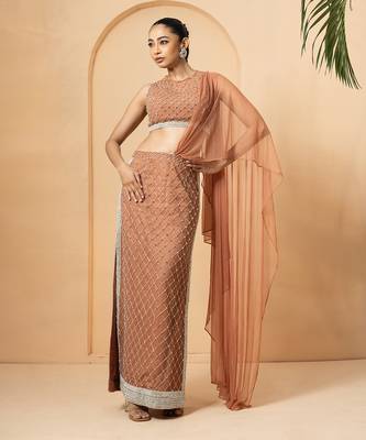 Beige georgette and net modal satin saree 1