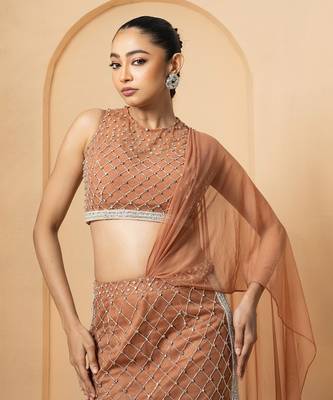 Beige georgette and net modal satin saree 2