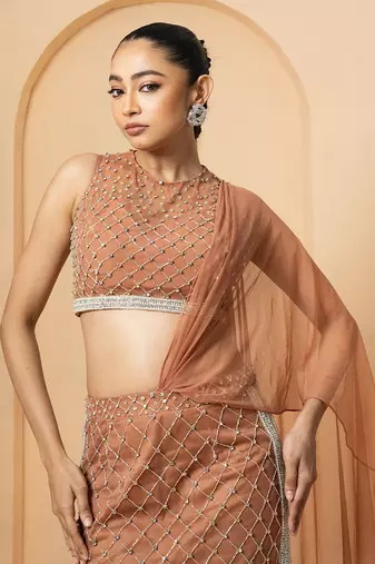 Beige georgette and net modal satin saree