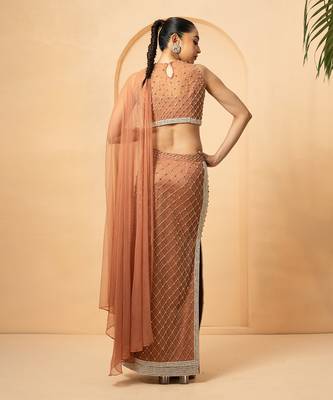 Beige georgette and net modal satin saree 3