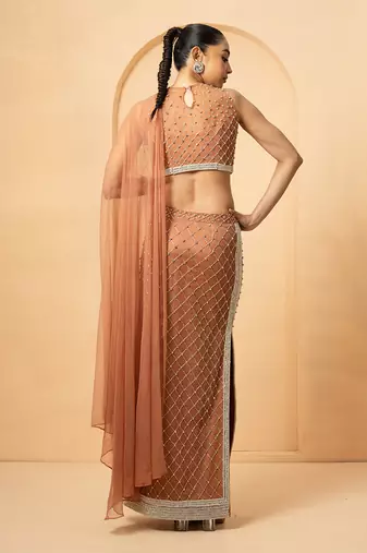 Beige georgette and net modal satin saree