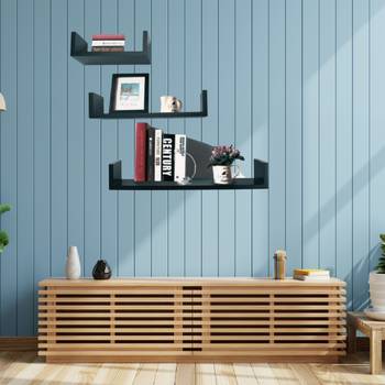 Wall shelf 2