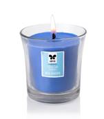 Iris taper jar candle