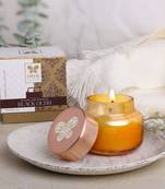 Iris celeste apothcary jar candle fragrance black oudh madhina star  113g 4oz amber collection