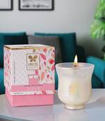 Iris celeste hurricane candle fragrance fleur 113g 4oz pearl collection