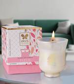 Iris celeste hurricane candle fragrance fragrance 285g 10oz pearl collection