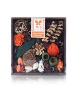 Iris home fragrances tangy orange potpourri in a wooden box- 335g with 5ml refresher oil free
