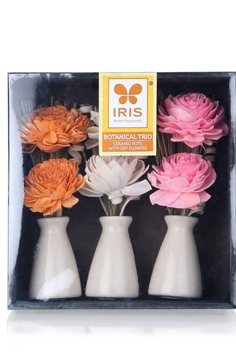 Iris home fragrances botonical trio ceramic pots with dry flowers in a wooden box- 520g