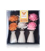 Iris home fragrances botonical trio ceramic pots with dry flowers in a wooden box- 520g
