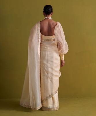 Beige hand embrodiered saree with raw silk blouse 3