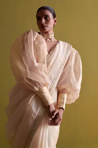 Beige hand embrodiered saree with raw silk blouse
