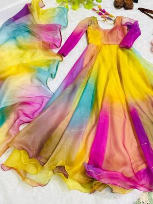 Multicolour digital print organza  kurta with dupatta 3