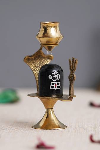 1 shivling with naag devta statue