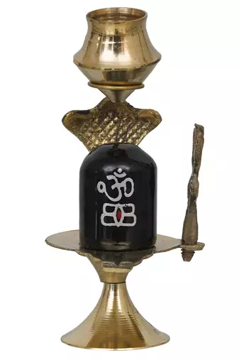1 shivling with naag devta statue