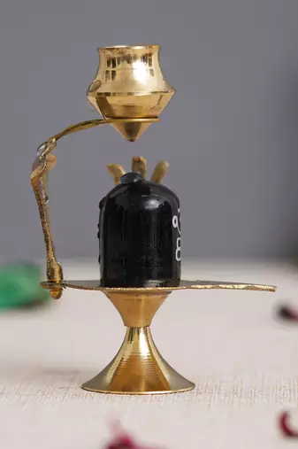 1 shivling with naag devta statue