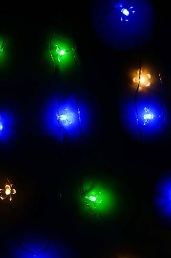 One blossom floral steady, blinking color changing led fairy string lights