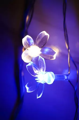 One blossom floral steady, blinking color changing led fairy string lights