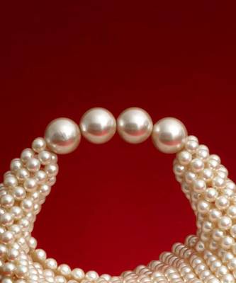 Zia pearl purse 5