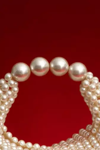 Zia pearl purse