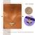 Gold toned anti-tarnish daily useable chain with ad stone falcon bird pendant