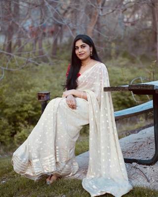 Viscose Georgette Saree 1