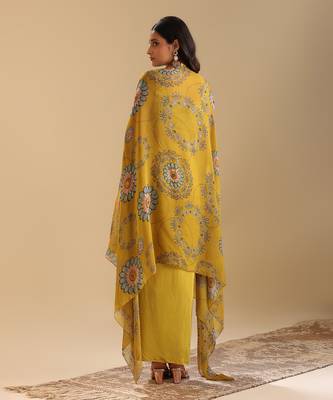 Eraya emblished drape skirt set with cape 5