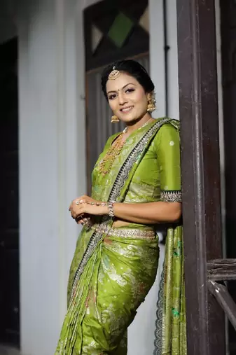 Soft Dola Silk blend Saree