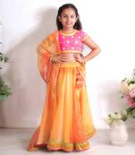 Orange organza lehenga choli set
