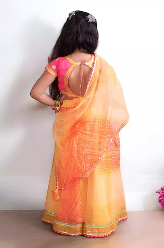 Orange organza lehenga choli set