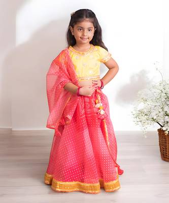 Pink organza lehenga choli set 1