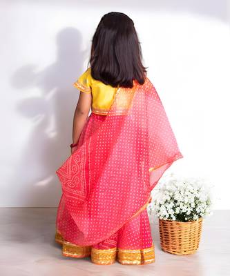 Pink organza lehenga choli set 2