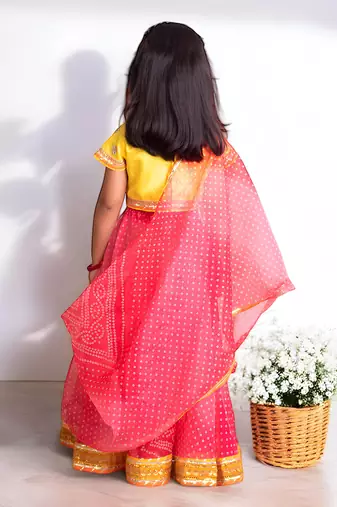 Pink organza lehenga choli set