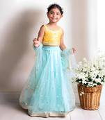 Yellow brocade choli with lehenga